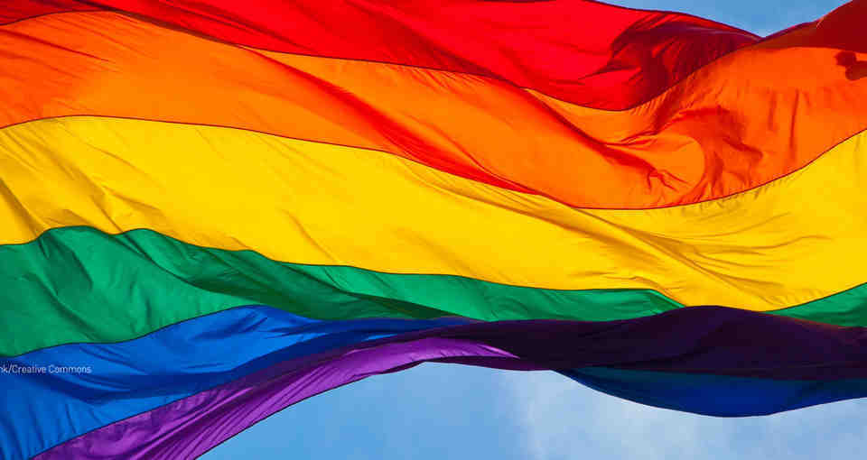 flag lgbt21