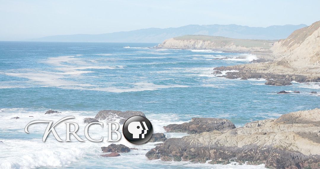 North Bay Bountiful: California Coast