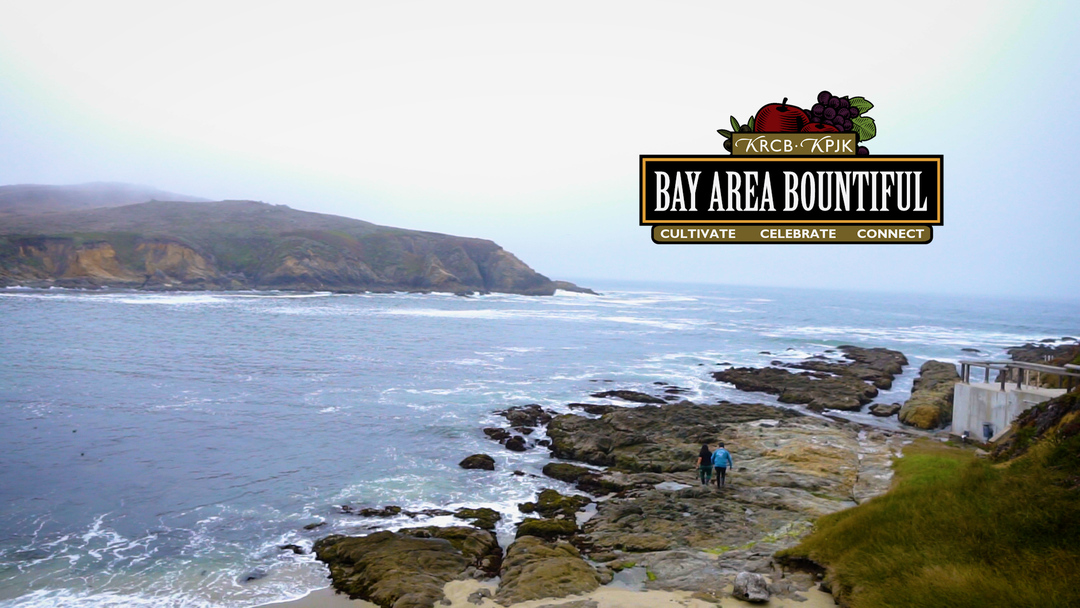 Bay Area Bountiful: Changemakers and Trailblazers