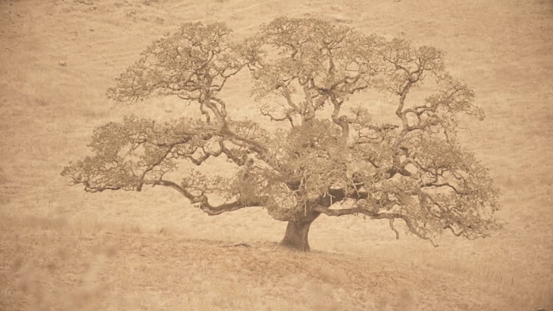 Health and Climate Change Adaptation