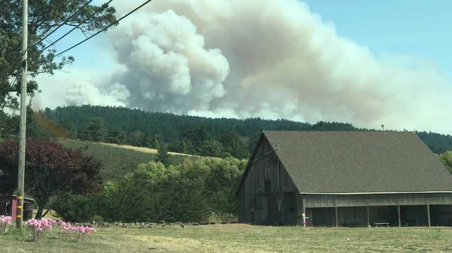 Pescadero's Puente Short Story