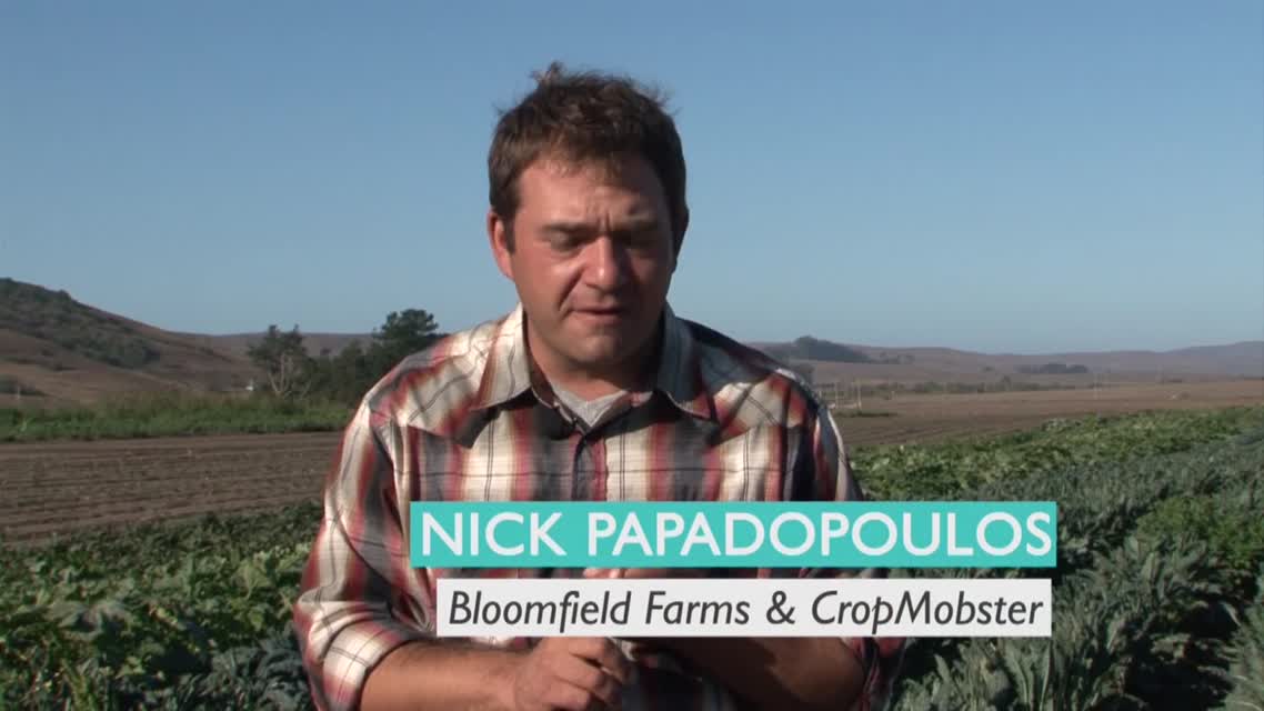 What is a Food System?