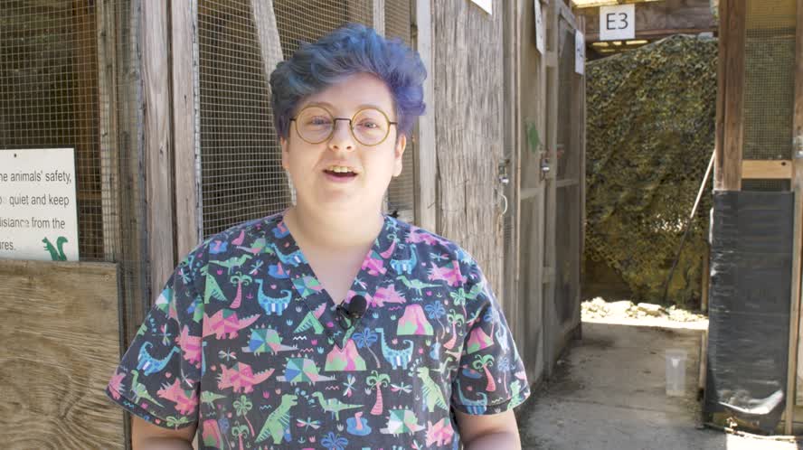 Wildlife Center of Silicon Valley