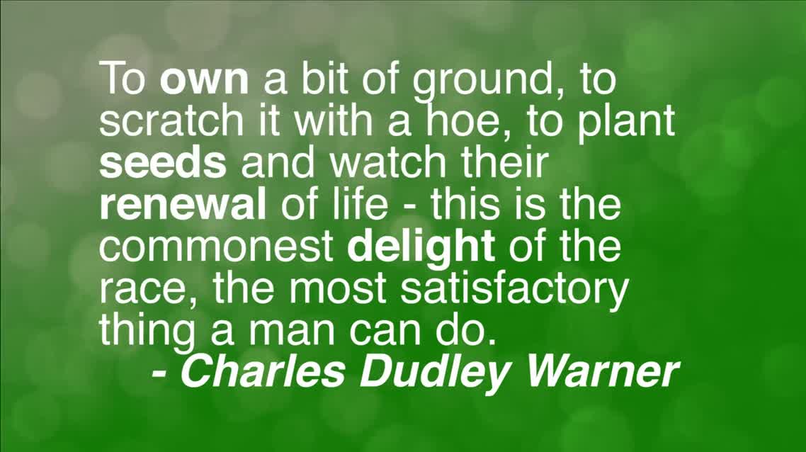 To own a bit of ground